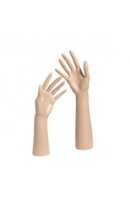 Hand/Arm